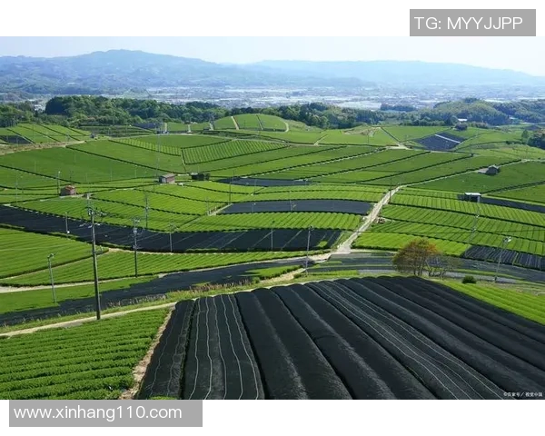 以果园为核心，打造生态农业示范区，促进绿色可持续发展与乡村振兴